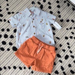 Carters safari set